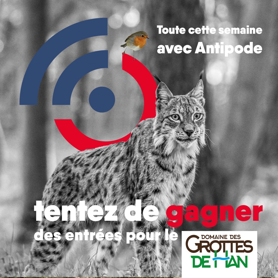 GROTTES DE HAN